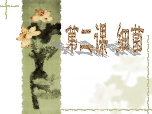 青岛小学科学六上《2、细菌》PPT课件 (6)