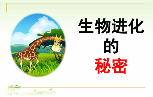 五年级下册科学-2生物进化的秘密-冀教版(共31张)-PPT课堂课件