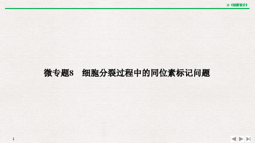 高中生物微专题8 细胞分裂过程中的同位素标记问题