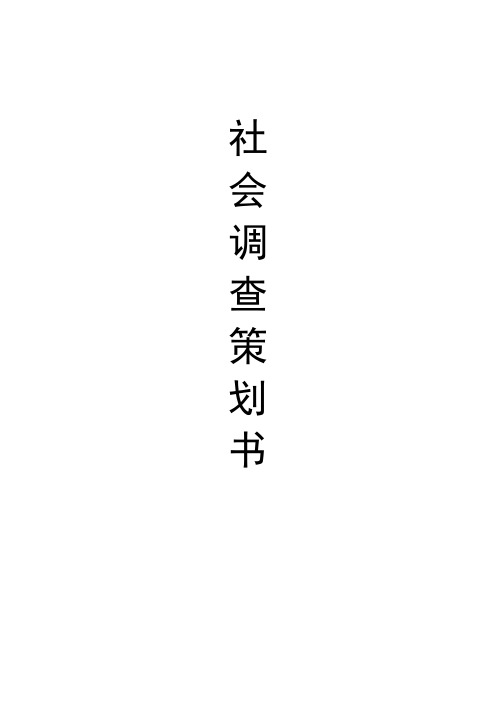 社会调查策划模板