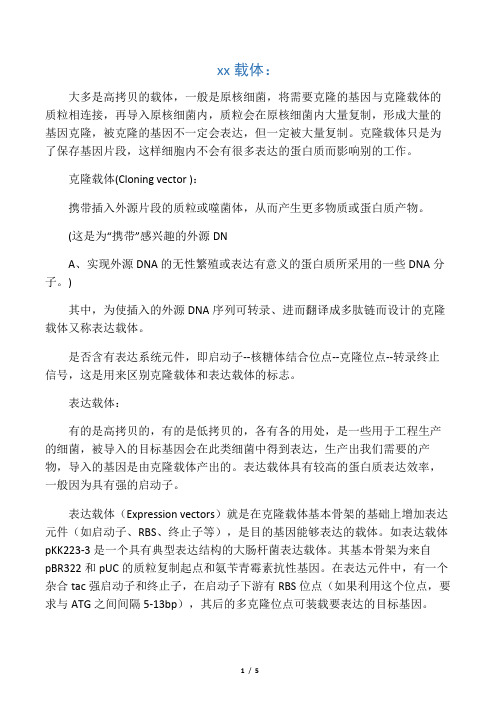 克隆载体与表达载体