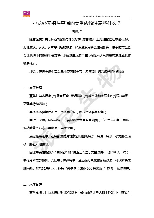 在高温交替的夏季,小龙虾养殖注意些什么？
