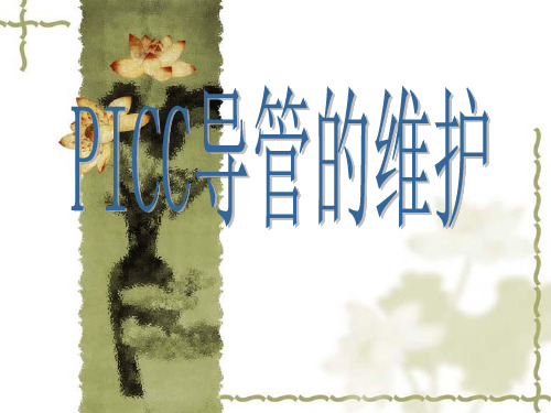 PICC导管置管术的维护ppt课件