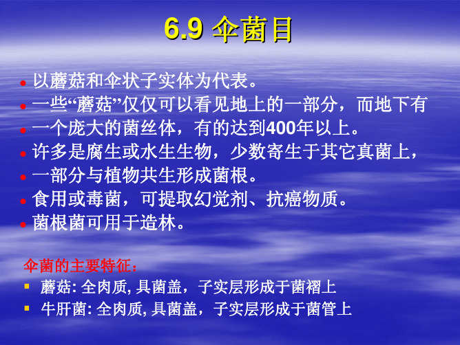 菌物学：04-2 Agricus