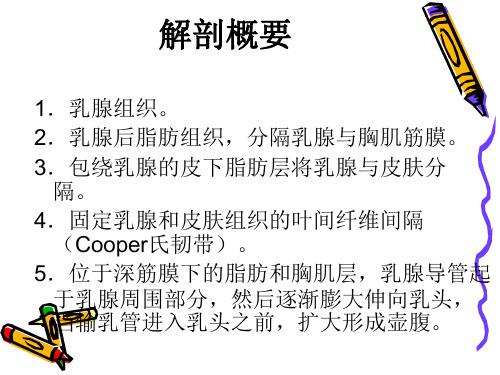 急性乳腺炎病人的护理-PPT_【PPT课件】