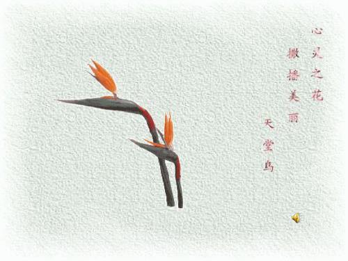苏教版数学四年级上册《直线线段射线和角》课件.ppt