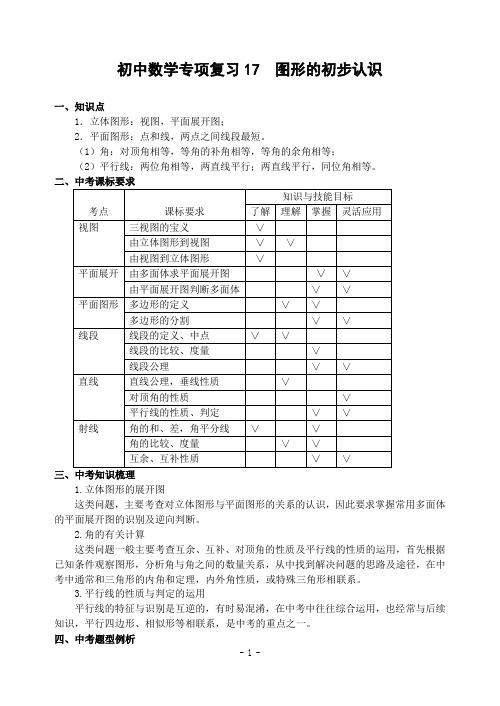 初中数学专项复习17 图形的初步认识