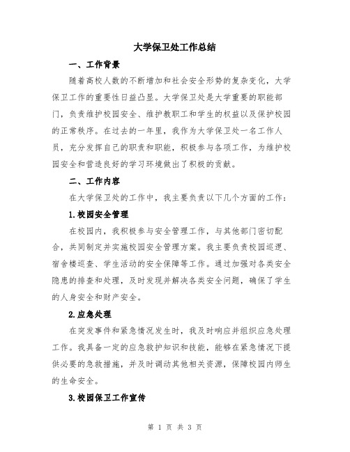 大学保卫处工作总结