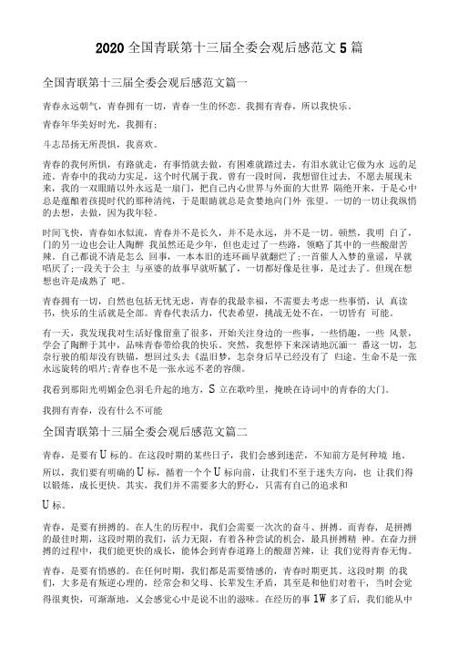2020全国青联第十三届全委会观后感范文5篇