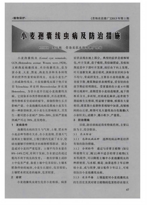 小麦孢囊线虫病及防治措施