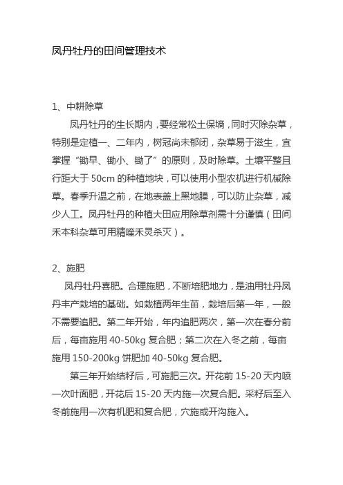凤丹牡丹的田间管理技术