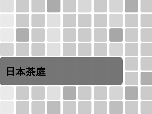 日本茶庭--汇报 3