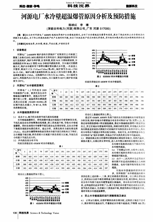 河源电厂水冷壁超温爆管原因分析及预防措施