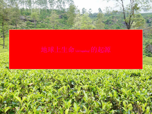 中考生物补偿复习课件6