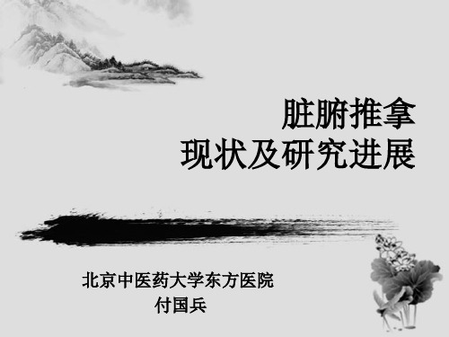 付国兵脏腑推拿现状及研究进展