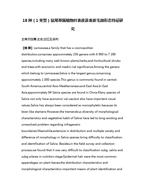 18种（1变型）鼠尾草属植物叶表皮及表皮毛微形态特征研究