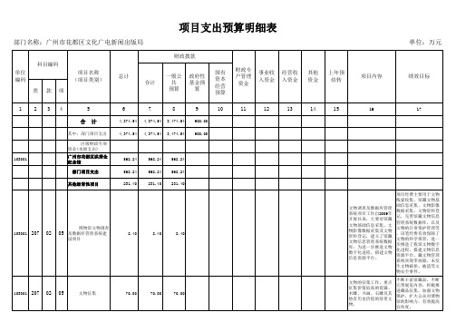 项目支出预算明细表