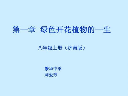 绿色开花植物的一生