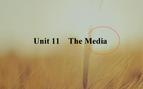 2019年高考英语北师大版全程复习方略课件：必修4 Unit 11 The Media 精品