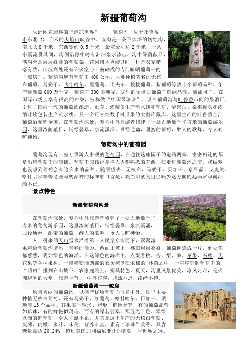 新疆葡萄沟