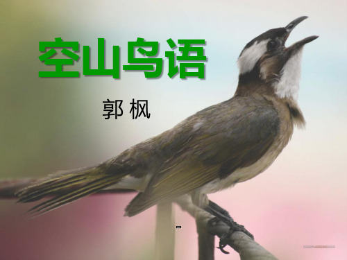湘教版八年级音乐下册《空山鸟语》课件PPT