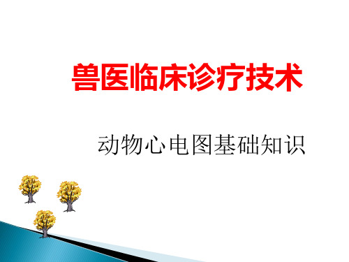 兽医临床诊断技术-心电图PPT