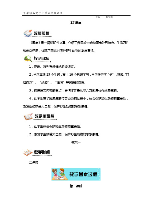 17麋鹿