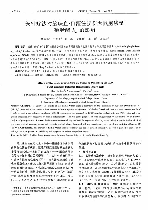 头针疗法对脑缺血-再灌注损伤大鼠胞浆型磷脂酶A2的影响