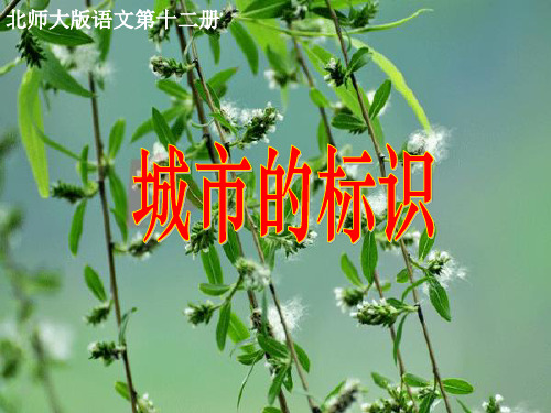 北师大版六年级语文下册《 珍惜  城市的标识》公开课课件_11