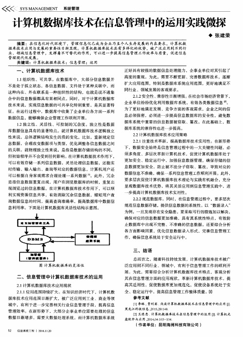 计算机数据库技术在信息管理中的运用实践微探