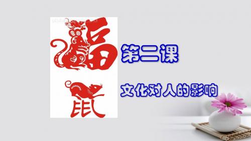 高中政治2.1感受文化影响课件新人教版必修3