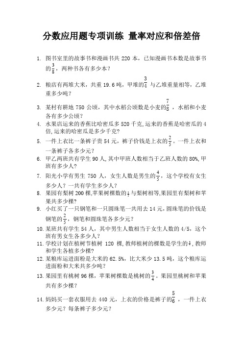 分数应用题专项训练 量率对应和倍差倍 (19)