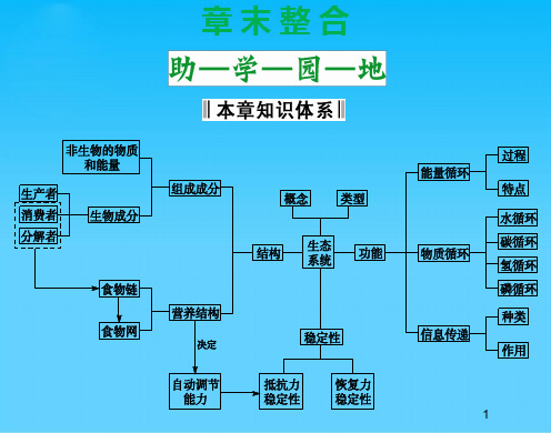 生物必修ⅲ苏教版第四章生态系统的稳态单元复习