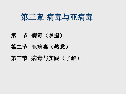 病毒与亚病毒
