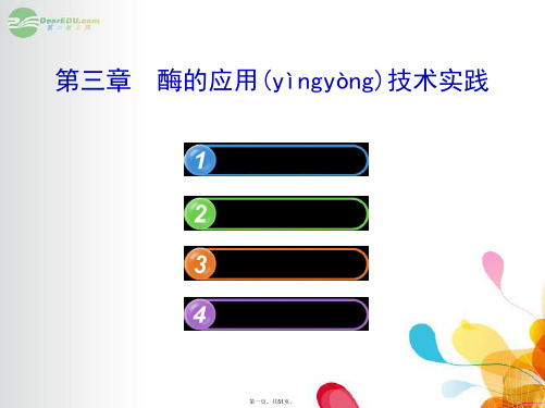 高中生物 1.3酶的应用技术实践课件 苏教版选修1 
