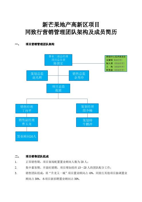 140109新芒果高新区项目营销管理团队架构及简历