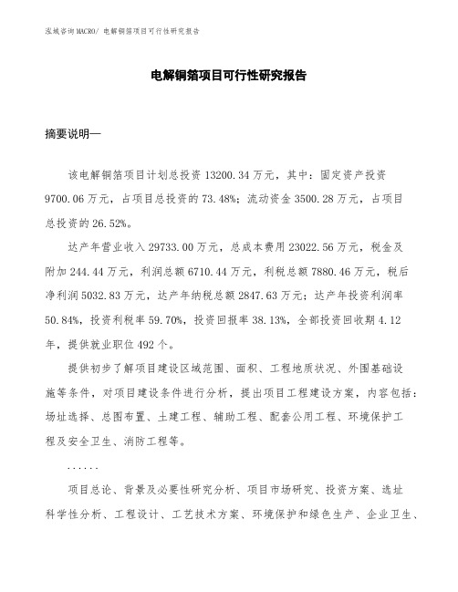 (立项审批)电解铜箔项目可行性研究报告