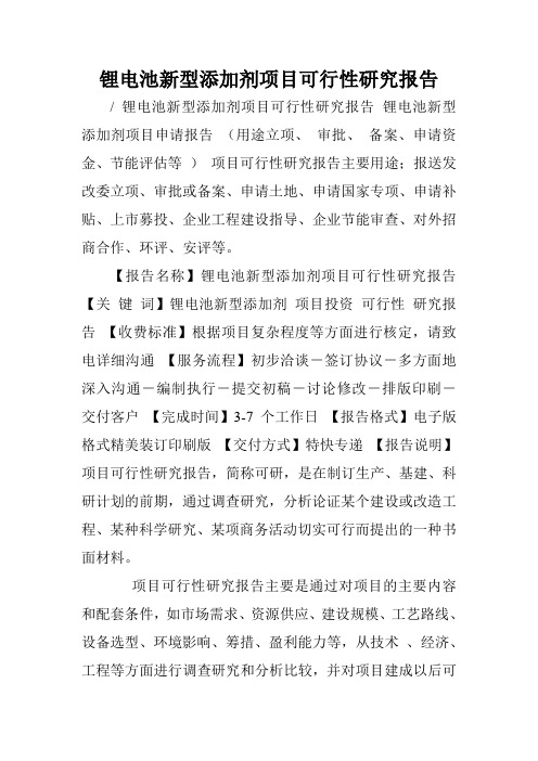 锂电池新型添加剂项目可行性研究报告.doc