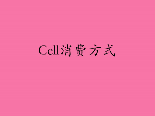 Cell生产方式ppt课件
