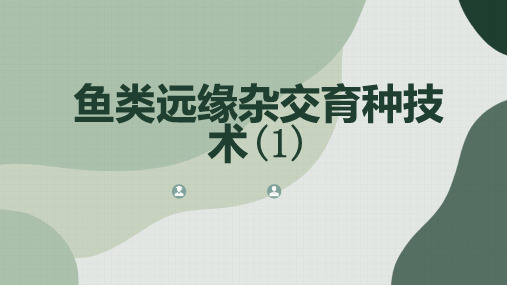 鱼类远缘杂交育种技术
