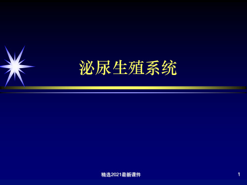女性泌尿系统带多图PPT课件