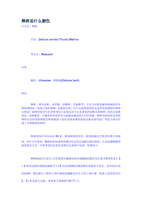 榉树是什么颜色