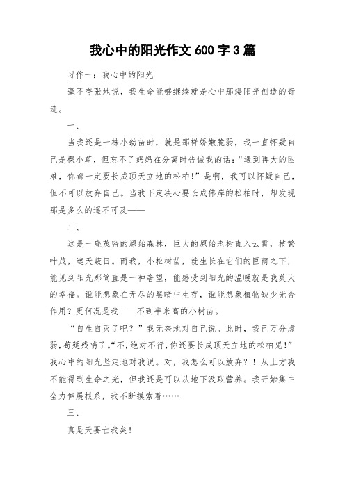我心中的阳光作文600字3篇_作文