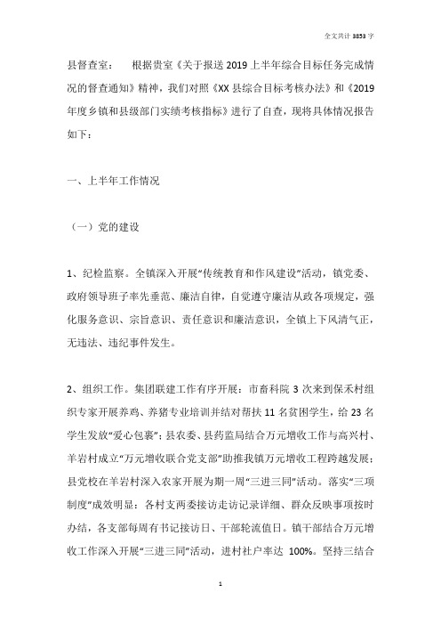2019年上半年乡镇综合目标考核自查报告