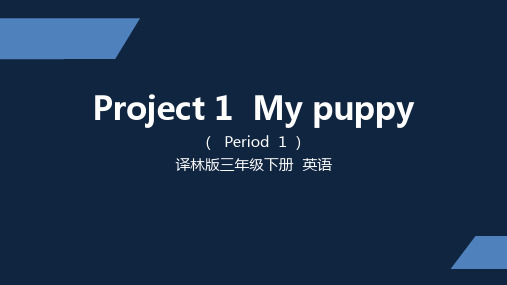 苏教译林三年级英语下册Project1全部课件共3课时(区一等奖)