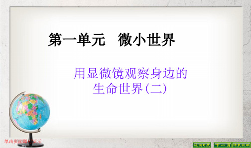 教科版小学六年级科学下册一6用显微镜观察身边的生命世界二PPT课件