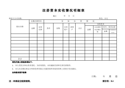 新设注册资本表格