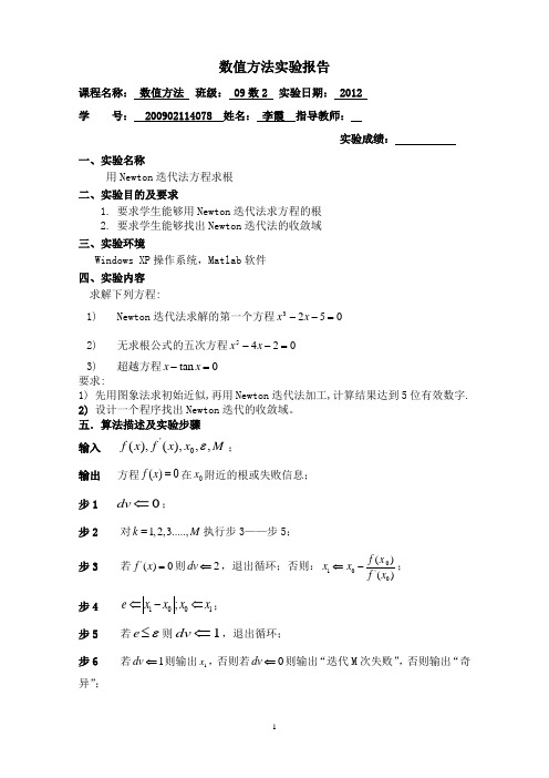数值分析  课程论文