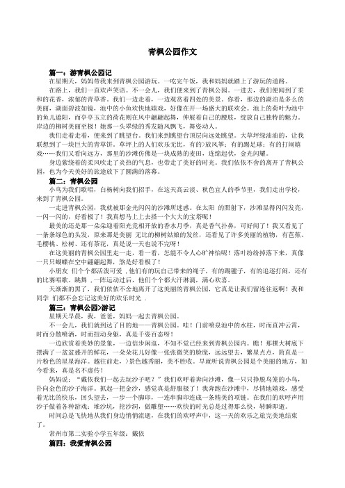 青枫公园作文
