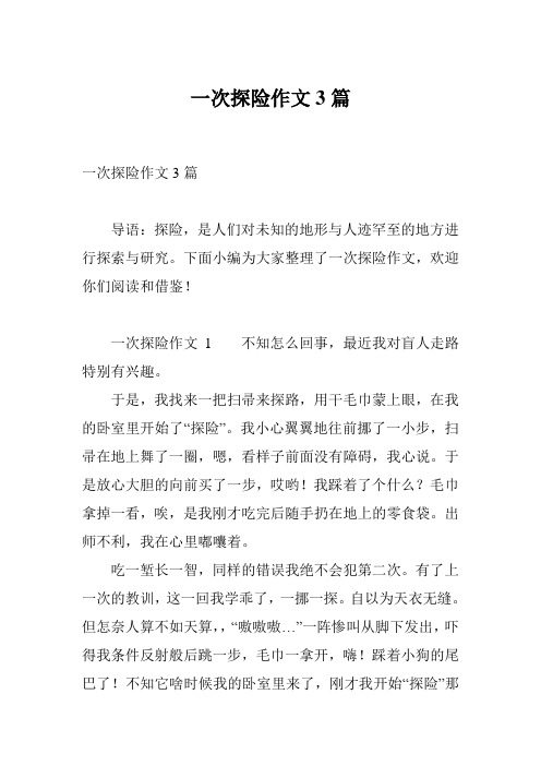 一次探险作文3篇